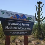  Ironwood Forrest National Monument